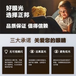 16x16洗墻燈48燈/米｜IP68防水DC24V高亮工程裝飾燈帶 - 3