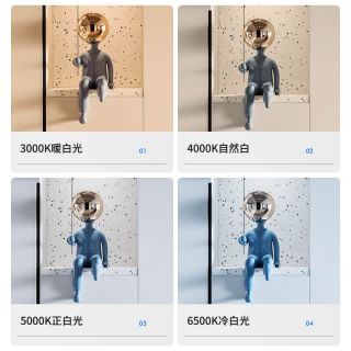 WS2812B單白光燈帶內置IC流水追光5050燈珠DC5V - 4