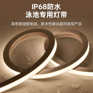 IP68防水泳池LED燈帶｜15x16低壓正發光｜一體注塑耐用燈帶廠家直供 - 4