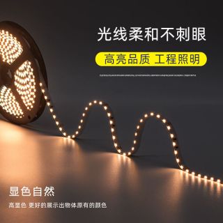 SMD3014側發光燈帶120燈每米工程專用側發光軟燈帶DC24V - 1