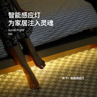 感應燈帶USB插電款5V人體感應COB燈帶批發 - 2